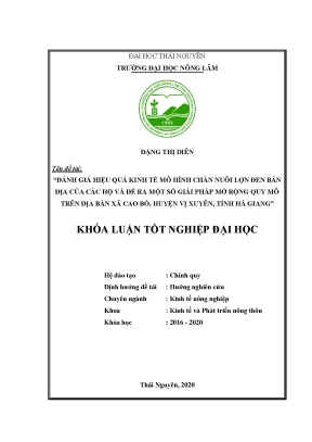Luận văn thạc sĩ đánh giá hiệu quả kinh tế mô hình chăn nuôi lợn đen bản địa của các hộ và đề ra một số giải pháp mở rộng quy mô trên địa bàn xã cao bồ huyện vị xuyên tỉnh hà giang