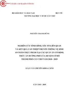 Nghiên cứu tình hình yếu tố liên quan và kết quả can thiệp truyền thông vệ sinh an toàn thực phẩm tại các quán ăn cố định thức ăn đường phố của huyện cờ đỏ thành phố cần thơ năm 2018