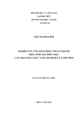 Luận án tiến sĩ nghiên cứu ứng dụng phẫu thuật nội soi một cổng sau phúc mạc cắt thận mất chức năng do bệnh lý lành tính