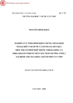 Nghiên cứu tình hình biến chứng thần kinh ngoại biên chi dưới và đánh giá kết quả điều trị có phối hợp thuốc thiogamma và pregabalin ở bệnh nhân đái tháo đường type 2 tại bệnh viện đa k