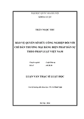 Luận văn thạc sĩ bảo vệ quyền sở hữu công nghiệp đối với chỉ dẫn thương mại bằng biện pháp dân sự theo pháp luật việt nam