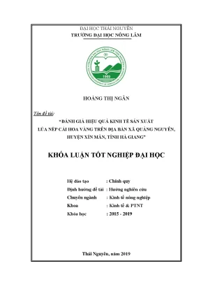Luận văn thạc sĩ đánh giá hiệu quả kinh tế sản xuất lúa nếp cái hoa vàng trên địa bàn xã quảng nguyên huyện xín mần tỉnh hà giang