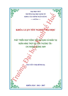 Phát triển hoạt động thẻ tín dụng cá nhân tại ngân hàng tmcp sài gòn thương tín chi nhánh quảng nam