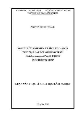 Luận văn thạc sĩ nghiên cứu sinh khối và tích tụ carbon trên mặt đất đối với rừng tràm melaleuca cajuputi powell trồng ở tỉnh đồng tháp