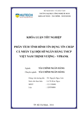 Luận văn thạc sĩ phân tích tình hình tín dụng tín chấp cá nhân tại hội sở ngân hàng tmcp việt nam thịnh vượng vpbank