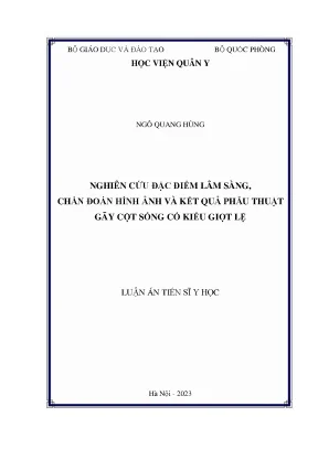 Luận án tiến sĩ nghiên cứu đặc điểm lâm sàng chẩn đoán hình ảnh và kết quả phẫu thuật gãy cột sống cổ kiểu giọt lệ