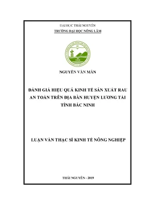 Luận văn thạc sĩ đánh giá hiệu quả kinh tế sản xuất rau an toàn trên địa bàn huyện lương tài tỉnh bắc ninh