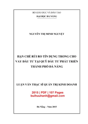 Luận văn thạc sĩ quản trị kinh doanh hạn chế rủi ro tín dụng trong cho vay đầu tư tại quỹ đầu tư phát triển thành phố đà nẵng