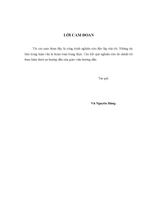 Giải pháp phòng chống gian lận thương mại tại cục hải quan tỉnh điện biên1
