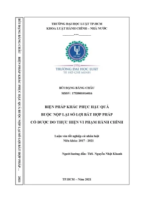 Luận văn biện pháp khắc phục hậu quả buộc nộp lại số lợi bất hợp pháp có được do thực hiện vi phạm hành chính