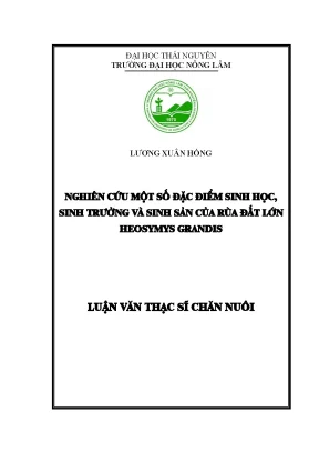 Luận văn thạc sĩ nghiên cứu một số đặc điểm sinh học sinh trưởng và sinh sản của rùa đất lớn heosymys grandis