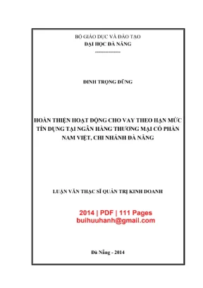 Luận văn thạc sĩ quản trị kinh doanh hoàn thiện hoạt động cho vay theo hạn mức tín dụng tại ngân hàng thương mại cổ phần nam việt chi nhánh đà nẵng