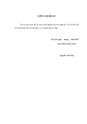 Nghiên cứu năng lực cạnh tranh của doanh nghiệp công nghiệp phần mềm trên địa bàn thành phố hà nội