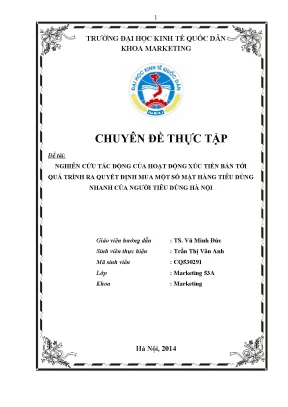Nghiên cứu tác động của hoạt động xúc tiến bán tới quá trình ra quyết định mua một số mặt hàng tiêu dùng nhanh của người tiêu dùng hà nội
