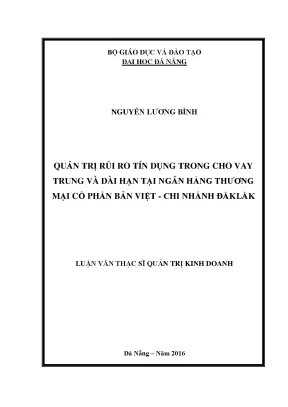 Luận văn thạc sĩ quản trị rủi ro tín dụng trong cho vay trung và dài hạn tại ngân hàng tmcp bản việt chi nhánh đăk lăk
