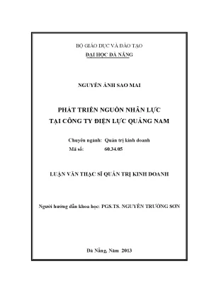 Luận văn thạc sĩ phát triển nguồn nhân lực tại công ty điện lực quảng nam