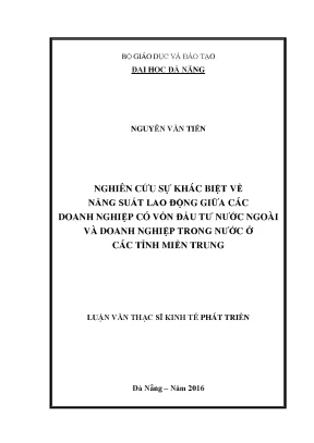 Luận văn thạc sĩ nghiên cứu sự khác biệt về năng suất lao động giữa các doanh nghiệp có vốn đầu tư nước ngoài và doanh nghiệp trong nước ở các tỉnh miền trung