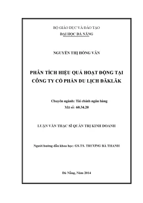 Luận văn thạc sĩ phân tích hiệu quả hoạt động tại công ty cổ phần du lịch đăklăk