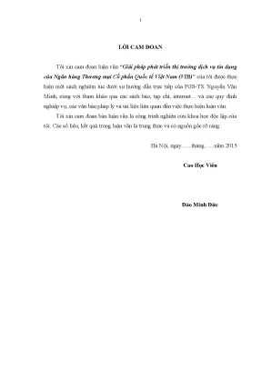 Luận văn thạc sĩ giải pháp phát triển thị trƣờng dịch vụ tín dụng của ngân hàng thƣơng mại cổ phần quốc tế việt nam vib