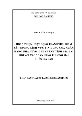 Luận văn thạc sĩ hoàn thiện hoạt động thanh tra giám sát trong lĩnh vực tín dụng của ngân hàng nhà nước chi nhánh tỉnh gia lai đối với các ngân hàng thương mại trên địa bàn