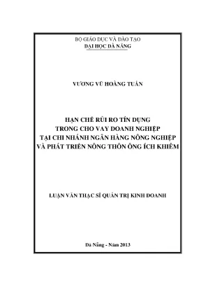 Luận văn thạc sĩ hạn chế rủi ro tín dụng trong cho vay doanh nghiệp tại chi nhánh ngân hàng nno ptnt ông ích khiêm