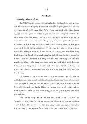 Luận văn thạc sĩ hoạch định chiến lược kinh doanh bảo hiểm phi nhân thọ của công ty bảo hiểm bảo việt đăk lăk