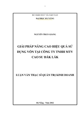 Luận văn thạc sĩ giải pháp nâng cao hiệu quả sử dụng vốn tại công ty tnhh mtv cao su đăk lăk