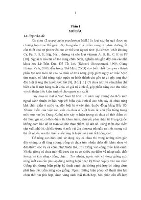 Nghiên cứu ảnh hưởng của mật độ trồng đến sinh trưởng và phát triển của giống cà chua triển vọng tn386 vụ thu đông năm 2011 tại trường đại học nông lâm thái nguyên