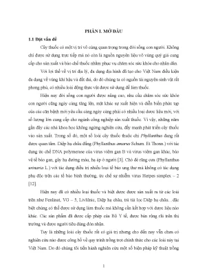Nghiên cứu ảnh hưởng của mật độ và thời vụ đến sinh trưởng phát triển năng suất và hàm lượng hoạt chất phyllanthin của hai loài diệp hạ châu thuộc chi phyllanthus trong điều kiện vụ xuân tại gia lâm hà nội