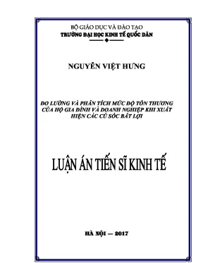 Luận án tiến sĩ đo lường và phân tích mức độ tổn thương của hộ gia đình và doanh nghiệp khi xuất hiện các cú sốc bất lợi