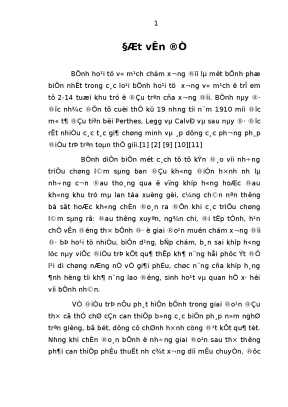 Đánh giá kết quả phẫu thuật cắt xương dưới mấu chuyển điều trị bệnh hoại tử vô mạch chỏm xương đùi ở trẻ em tại bệnh viện nhi trung ương