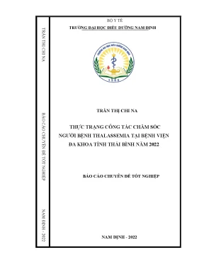 Thực trạng công tác chăm sóc người bệnh thalassemia tại bệnh viện đa khoa tỉnh thái bình năm 2022