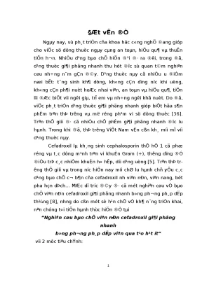 Nghiên cứu bào chế viên nén cefadroxil giải phóng nhanh bằng phương pháp dập viên qua tạo hạt ướt