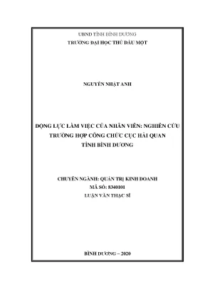 Động lực làm việc của nhân viên nghiên cứu trường hợp công chức cục hải quan bình dương luận văn thạc sĩ