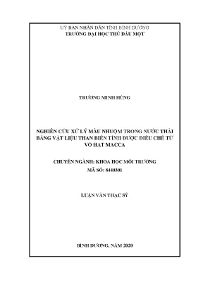 Luận văn thạc sĩ nghiên cứu xử lý màu nhuộm trong nước thải công nghiệp bằng vật liệu than biến tính điều chế từ vỏ trái macca