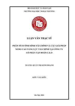 Phân tích tình hình tài chính và các giải pháp nâng cao năng lực tài chính tại công ty cổ phần tập đoàn c e o