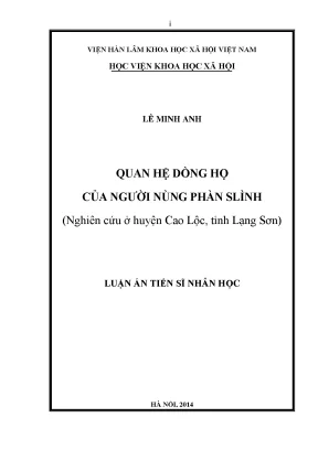 Luận án tiến sĩ quan hệ dòng họ của người nùng phàn slình nghiên cứu ở huyện cao lộc tỉnh lạng sơn