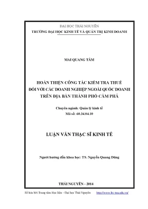 Luận văn thạc sĩ hoàn thiện công tác kiểm tra thuế đối với các doanh nghiệp ngoài quốc doanh trên địa bàn thành phố cẩm phả