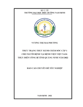 Thực trạng thực hành chăm sóc cấp 1 cho người bệnh tại bệnh viện việt nam thụy điển uông bí tỉnh quảng ninh năm 2022