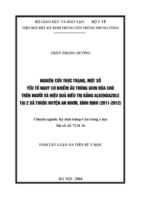 Luận án tiến sĩ nghiên cứu thực trạng một số yếu tố nguy cơ nhiễm ấu trùng giun đũa chó trên người và hiệu quả điều trị bằng albendazole tại 2 xã thuộc huyện an nhơn bình định 20112012