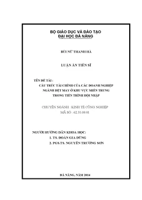 Luận án tiến sĩ cấu trúc tài chính của các doanh nghiệp ngành dệt may ở khu vực miền trung trong tiến trìnhhội nhập