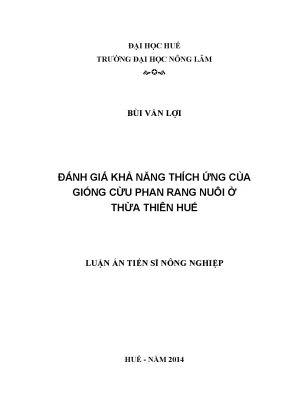 Luận án tiến sĩ đánh giá khả năng thích ứng của giống cừu phan rang nuôi ở thừa thiên huế
