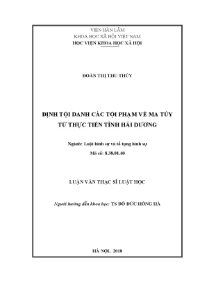 Luận văn thạc sĩ định tội danh các tội phạm về ma túy từ thực tiễn tỉnh hải dương