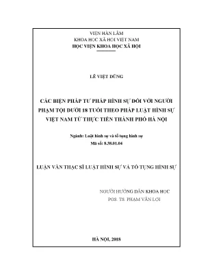 Luận văn thạc sĩ các biện pháp tư pháp hình sự đối với người phạm tội dưới 18 tuổi theo pháp luật hình sự việt nam từ thực tiễn thành phố hà nội
