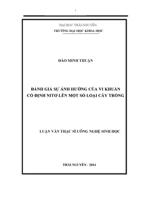 Luận văn thạc sĩ đánh giá sự ảnh hưởng của vi khuẩn cố định nitơ lên một số loại cây trồng