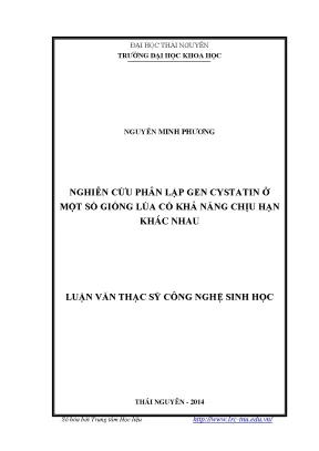 Luận văn thạc sĩ nghiên cứu phân lập gen cystatin ở một số giống lúa có khả năng chịu hạn khác nhau