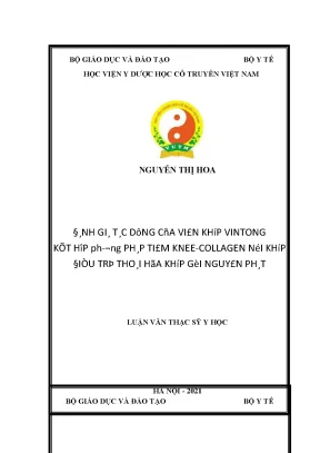 Luận văn thạc sĩ đánh giá tác dụng của viên khớp vintong kết hợp phương pháp tiêm knee collagen nội khớp điều trị thoái hóa khớp gối nguyên phát