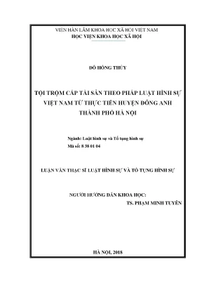 Luận văn thạc sĩ tội trộm cắp tài sản theo pháp luật hình sự việt nam từ thực tiễn huyện đông anh thành phố hà nội