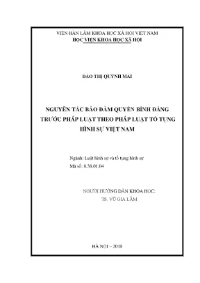 Luận văn thạc sĩ nguyên tắc bảo đảm quyền bình đẳng trước pháp luật trong tố tụng hình sự việt nam