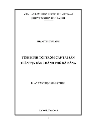 Luận văn thạc sĩ tình hình tội trộm cắp tài sản trên địa bàn thành phố đà nẵng